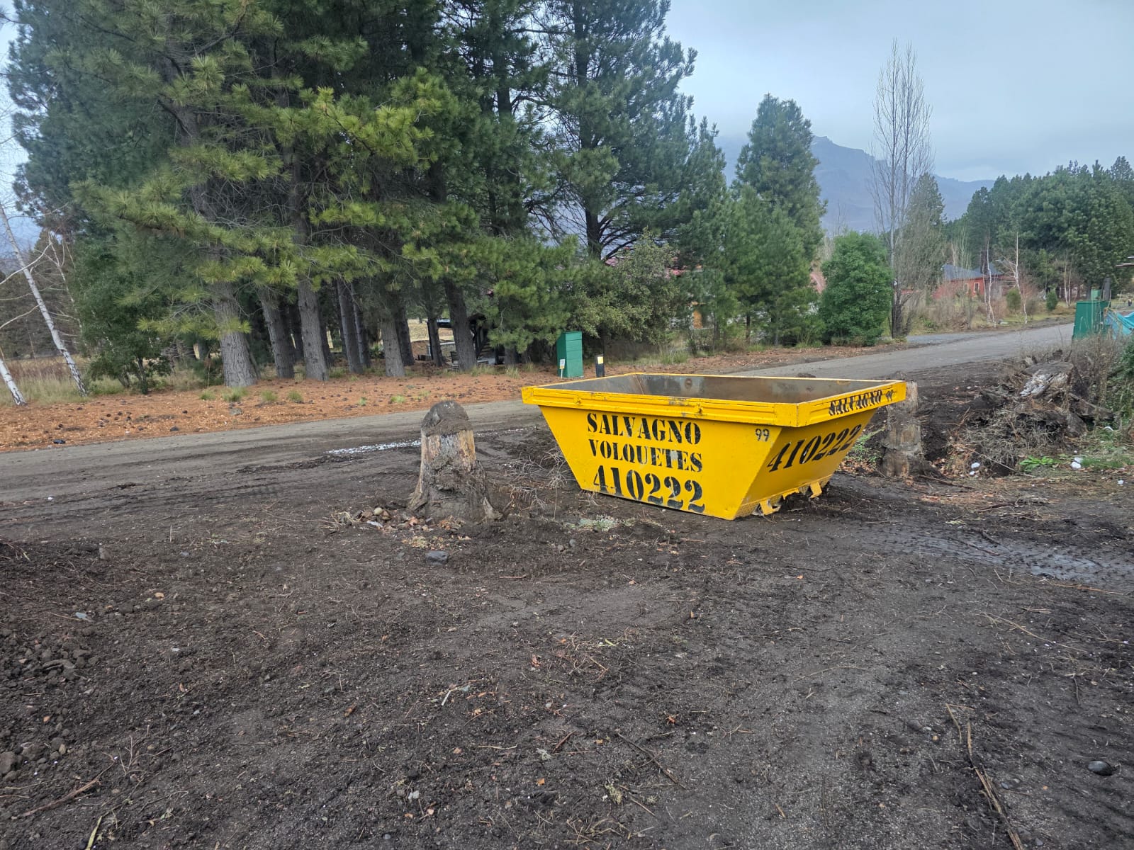 Volquete de Salvagno cargado con áridos y un cerro rocoso de la cordillera de fondo